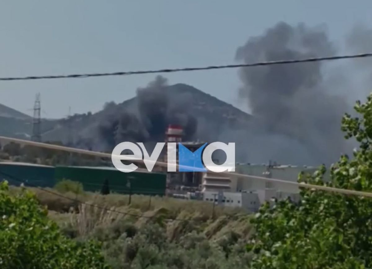 Φωτιά στην Εύβοια
